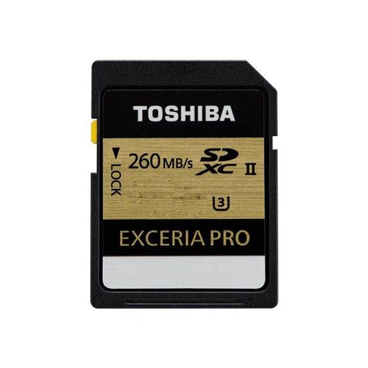 Toshiba-THNN101K0160E6-Flash-memory---Readers