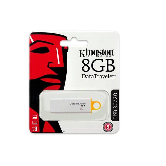 KingstonTechnology-DTIG48GB-Flash-memory---Readers