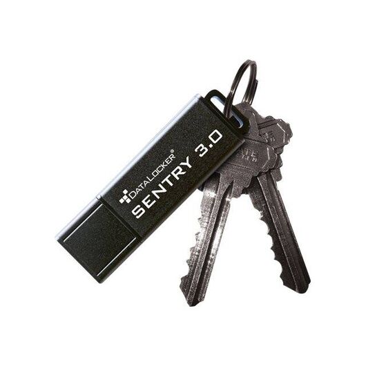 DataLocker Sentry 3.0 SENTRY32 USB flash drive - SENTRY32