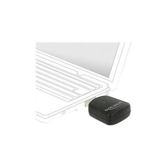 DeLock Wireless LAN USB Mini Stick Network adapter 12502