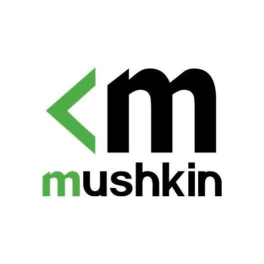 Mushkin SSD 1 TB internal 2.5 SATA MKNSSDEL1TB