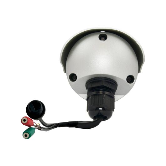 LevelOne FCS5057 Network surveillance camera outdoor FCS-5057