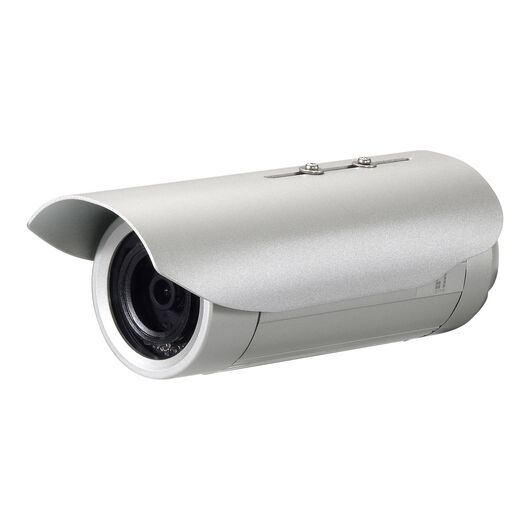 LevelOne FCS5063 Network surveillance camera outdoor FCS-5063