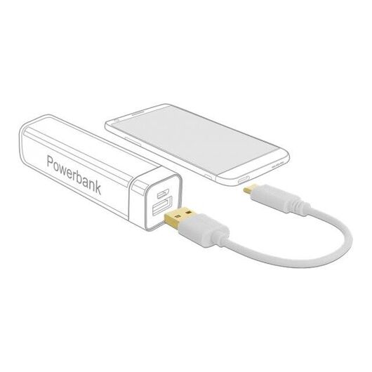 Delock - USB cable - USB (power only) (M) to USB-C (power | 85355