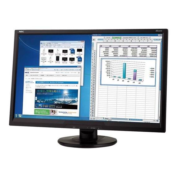 NEC-60003810-Monitors