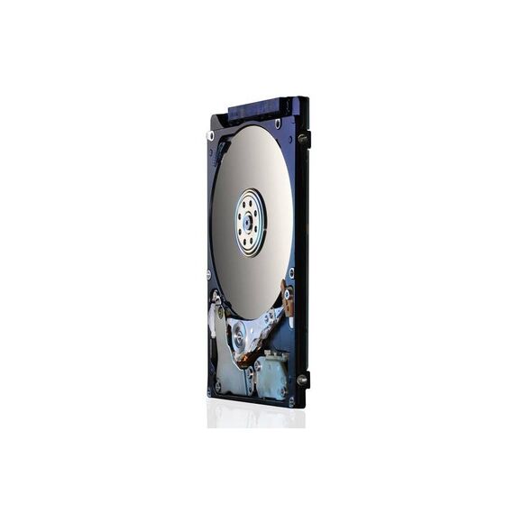 HGST-0J38065-Hard-drives