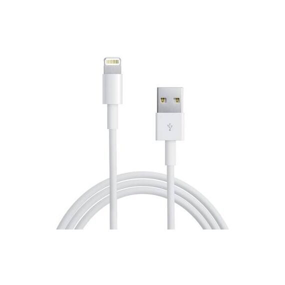 Apple-MD813ZMA-Cables--Accessories