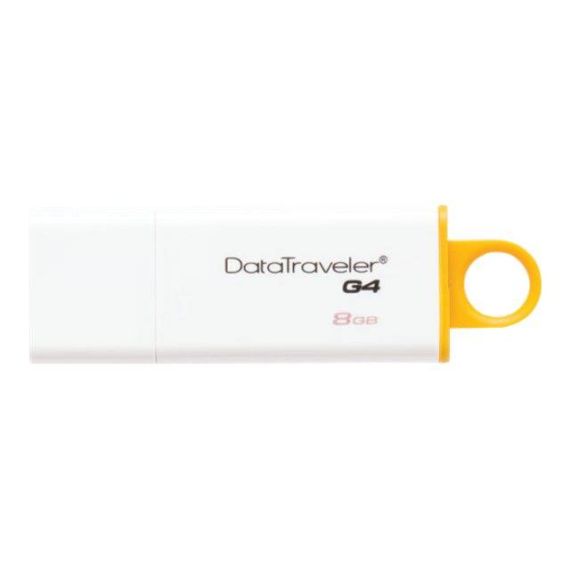 KingstonTechnology-DTIG48GB-Flash-memory---Readers