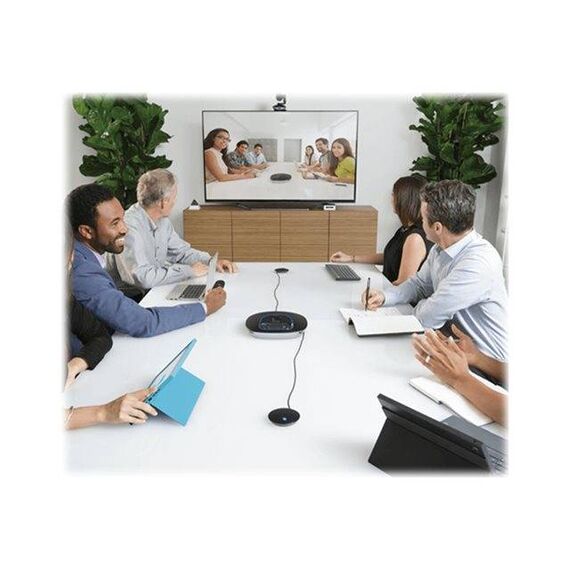 Logitech GROUP Expansion Microphones Only | 989-000171