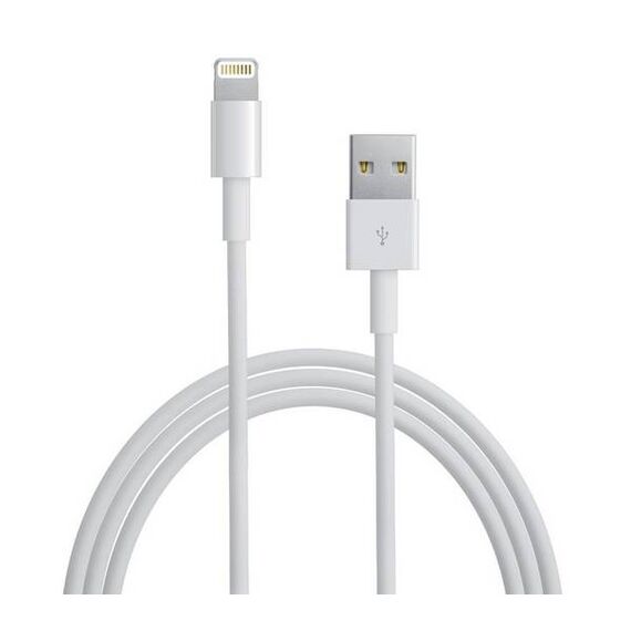 Apple Lightning to USB Cable 1m | 197342