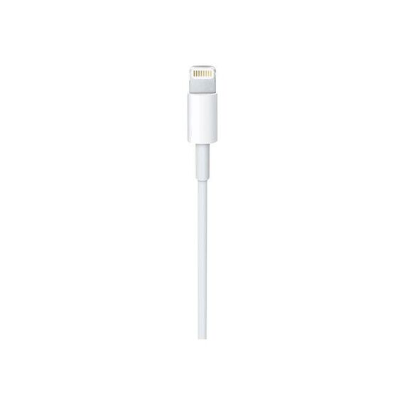 Apple Lightning to USB Cable 1m | 197342