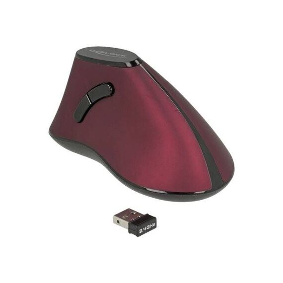 DeLOCK Mouse ergonomic right-handed optical 5 12528