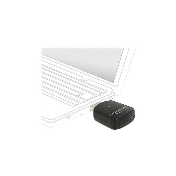 DeLock Wireless LAN USB Mini Stick Network adapter 12502