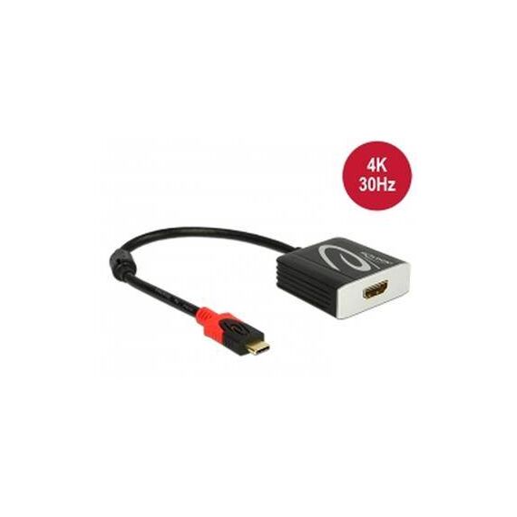 DeLOCK External video adapter RTD2171U USB-C HDMI 62999