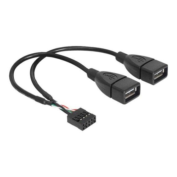 DeLOCK USB internal to external cable USB (F) to 9 83292