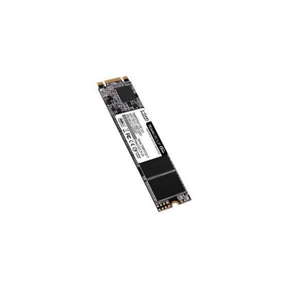 Team Group MS30 SSD 1 TB M.2 2280 SATA internal