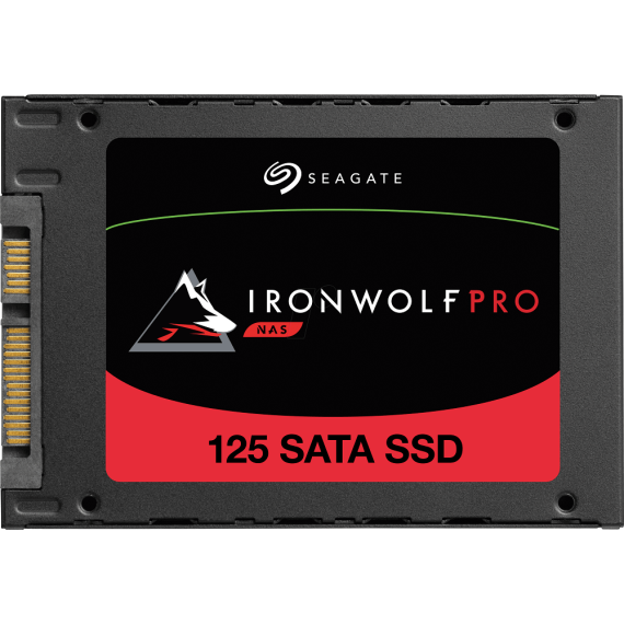 IronWolf 125 Pro SSD 960Gb SATA