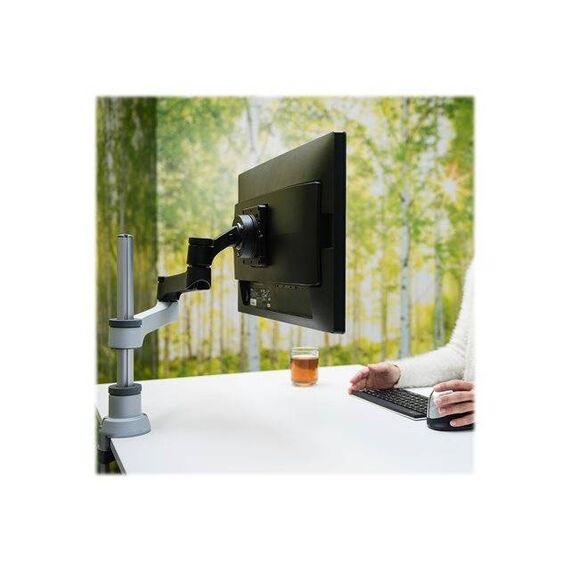 R-Go Zepher 4 Desk mount for LCD display RGOVLZE4SI