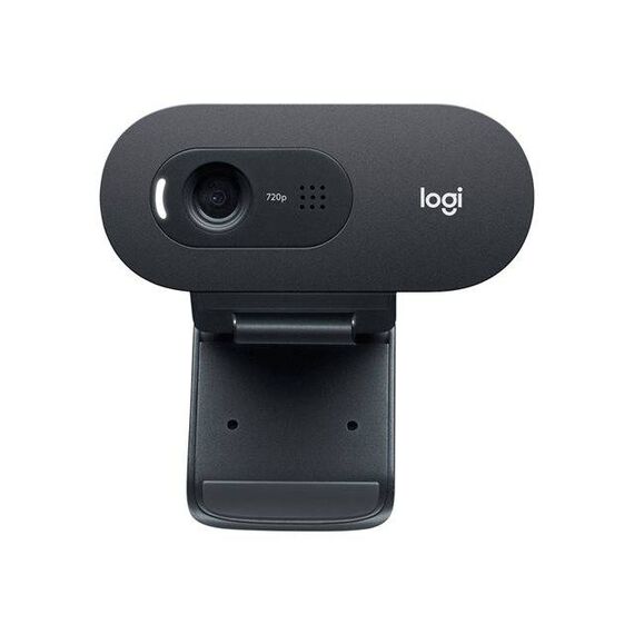 Logitech C505e Web camera colour 720p fixed 960-001372