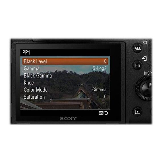 Sony Cyber-shot DSC-RX10 III Digital camera DSCRX10M3.CE3