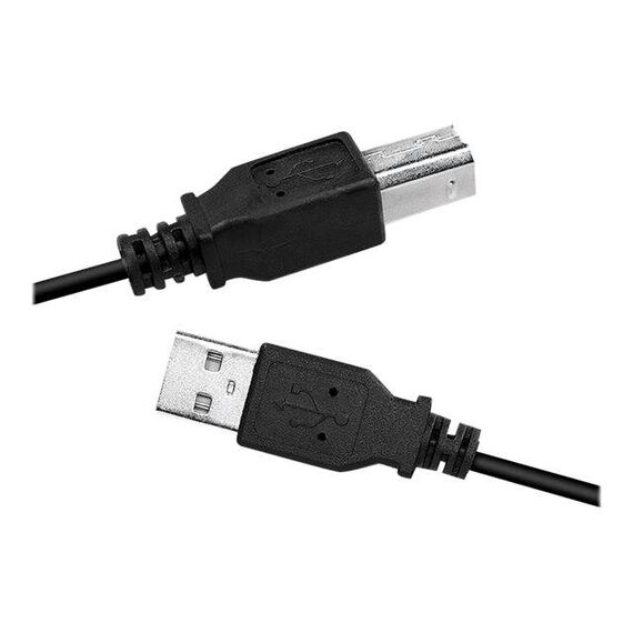 LogiLink USB cable USB (M) to USB Type B (M) USB CU0007B