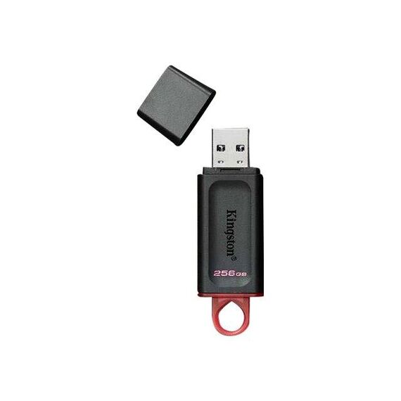 Kingston DataTraveler Exodia USB flash drive 256 DTX256GB