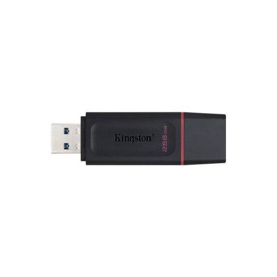 Kingston DataTraveler Exodia USB flash drive 256 DTX256GB