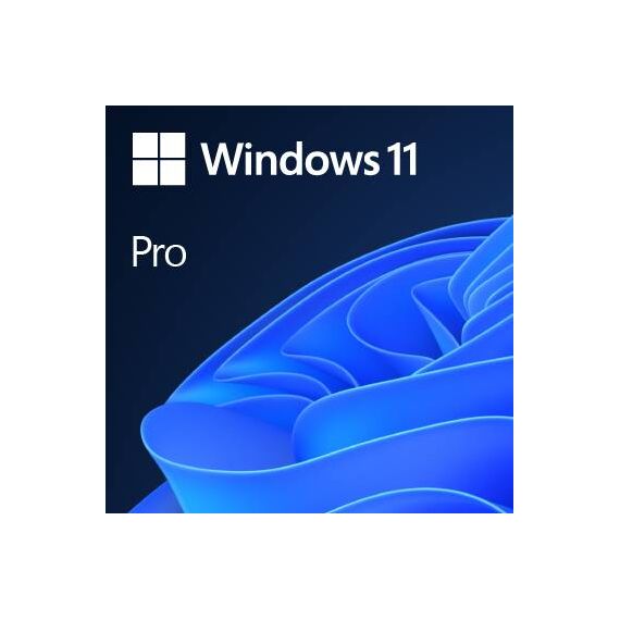Windows 11 Pro Licence 1 licence OEM DVD 64-bit FQC-10528