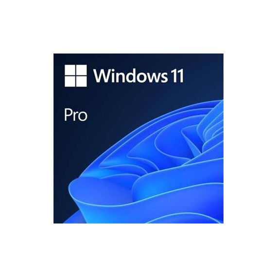 Windows 11 Pro Licence 1 licence OEM DVD 64-bit FQC-10528