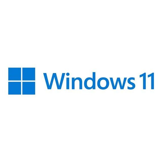 Windows 11 Pro Licence 1 licence OEM DVD 64-bit FQC-10528
