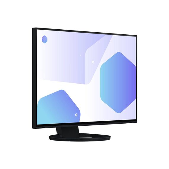 EIZO FlexScan EV2485BK LED monitor 24.1 1920 x 1200 EV2485-BK
