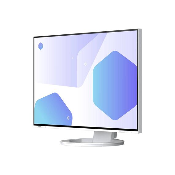 EIZO FlexScan EV2485WT LED monitor 24.1 1920 x 1200 EV2485-WT