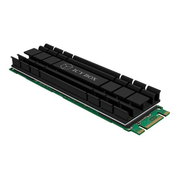 RaidSonic ICY BOX IBM2HS-701 Solid state drive IB-M2HS-701