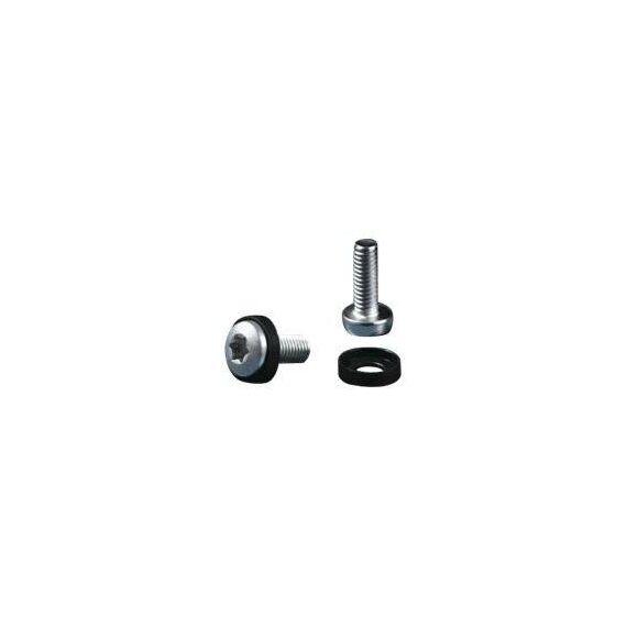 Rittal DK Multitooth screw M5x16 Rack screws  7094130