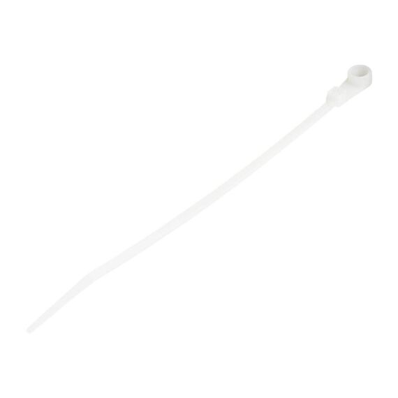 StarTech.com 15cm Cable Ties with Mounting Hole, CBMZTS10N6