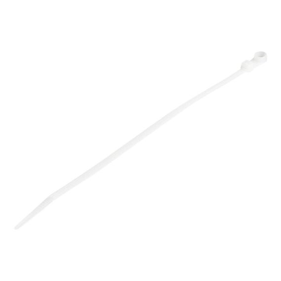 StarTech.com 20cm Cable Ties with Mounting Hole, CBMZTS10N8