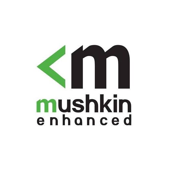 Mushkin Enhanced Essentials DDR5 module 16 GB MES5U480FD16G