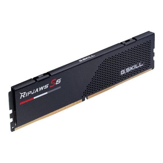 G.Skill Ripjaws S5 DDR5 kit 32 GB: 2 x F55600J3636C16GX2-RS5K
