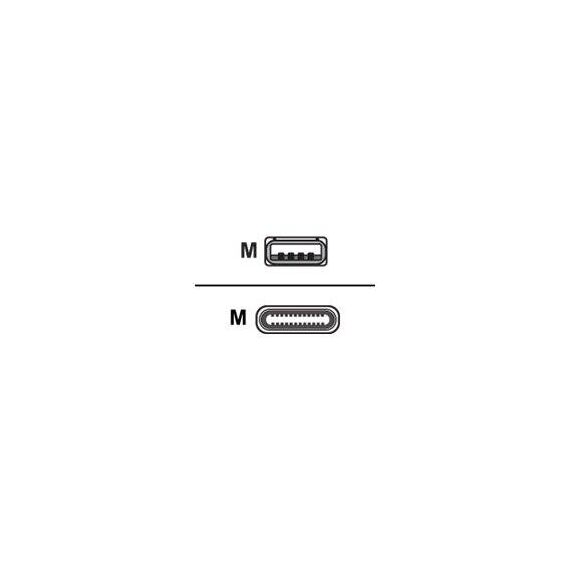 Zebra USB cable USB (M) to USBC CBL-MPM-USB1-01