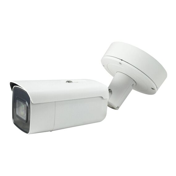LevelOne FCS5095 surveillance camera outdoor FCS-5095