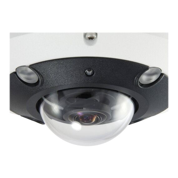 LevelOne FCS3095 Panoramic camera FCS-3095