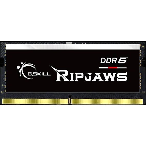 G.Skill Ripjaws DDR5 module 16 GB F5-4800S4039A16GX1-RS