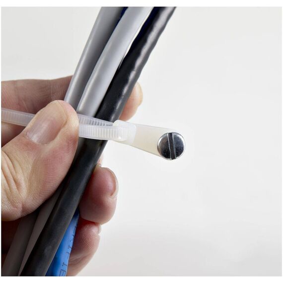 StarTech.com 10cm(4") Cable Ties with Mounting Hole CBMZTS10N4