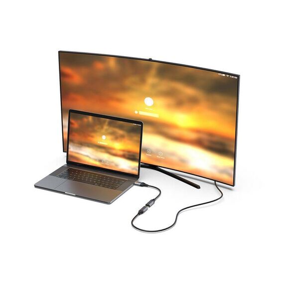equip DisplayPort 1.4 to HDMI Adapter, 8K 60Hz   15 133446