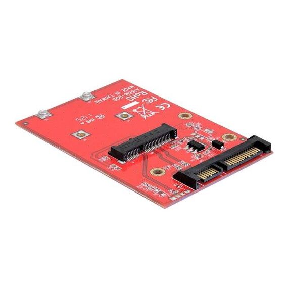 DeLOCK Converter SATA 22 pin > mSATA with 2.5 Frame 61892