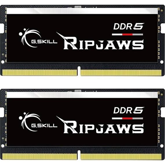 G.Skill Ripjaws DDR5 kit F55600S4040A16GX2RS