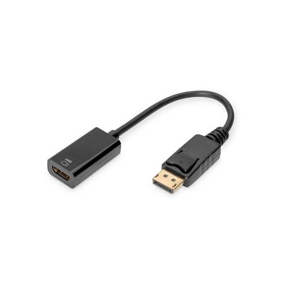 Assmann Video converter DisplayPort HDMI AK340415002S