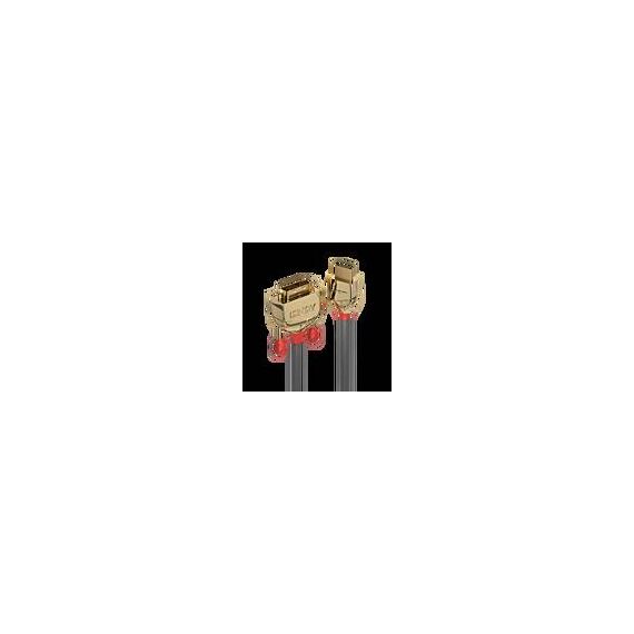 Lindy Gold Line - Video cable - HDMI (M) to DVI-D (M) - 2 | 36195