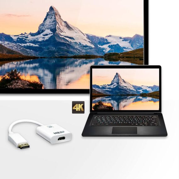 ATEN VC986B - Adapter - DisplayPort male to HDMI female - 18 cm -