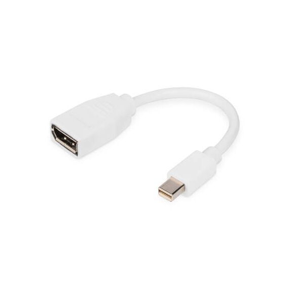 DIGITUS - DisplayPort adapter - Mini DisplayPor | DB-340405-001-W